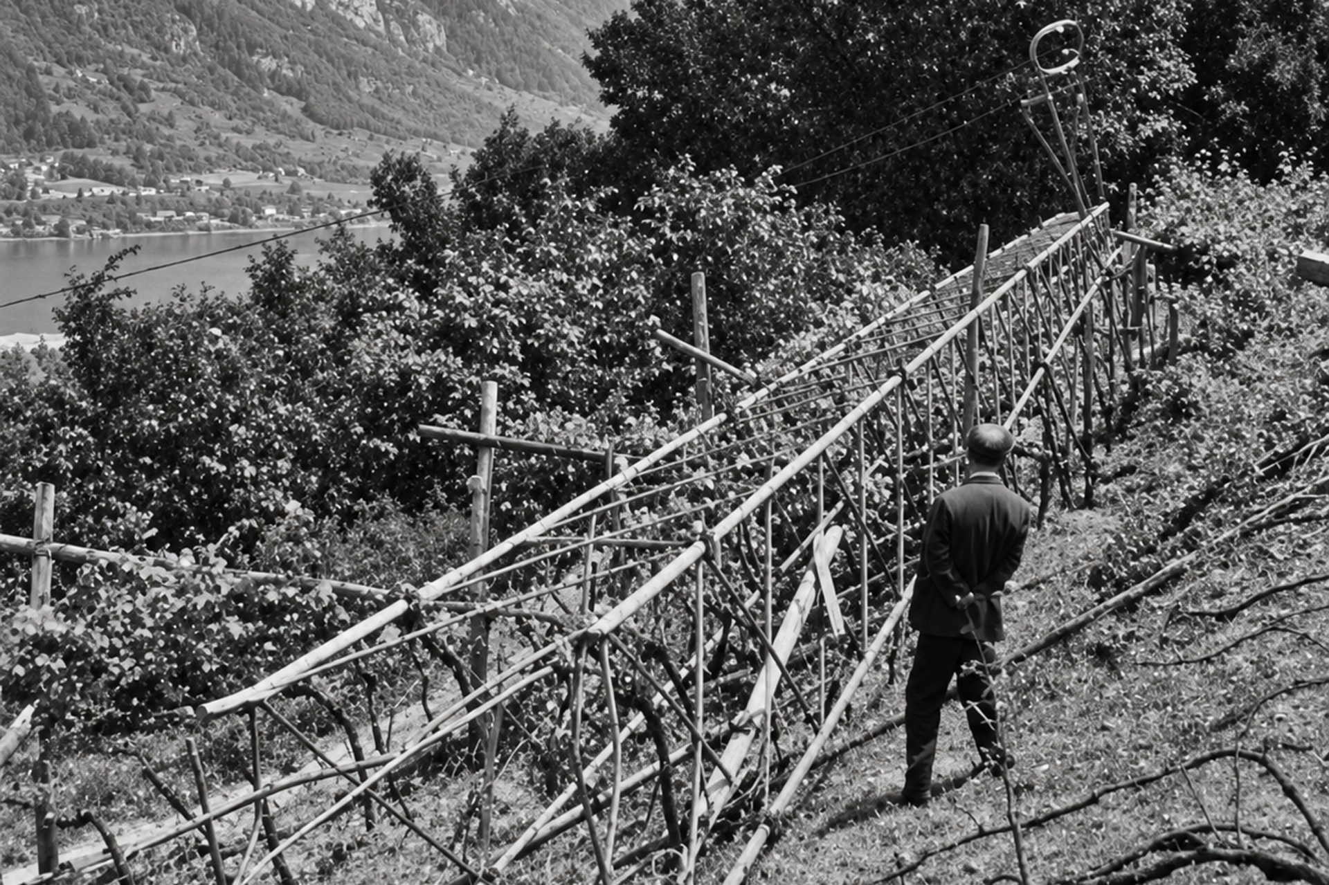 Alto Adige, la guerra che nessuno pagò